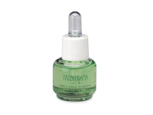 Lime e foglie di Menta essenza 15 ml